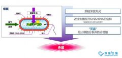 海信中央空調(diào)紫光盾殺菌模塊上市，健康技能加